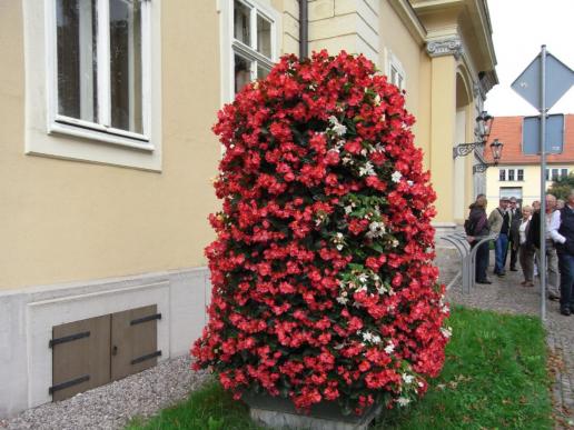 Vor dem Schloßmuseum